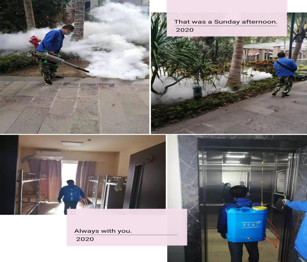 图片11.png