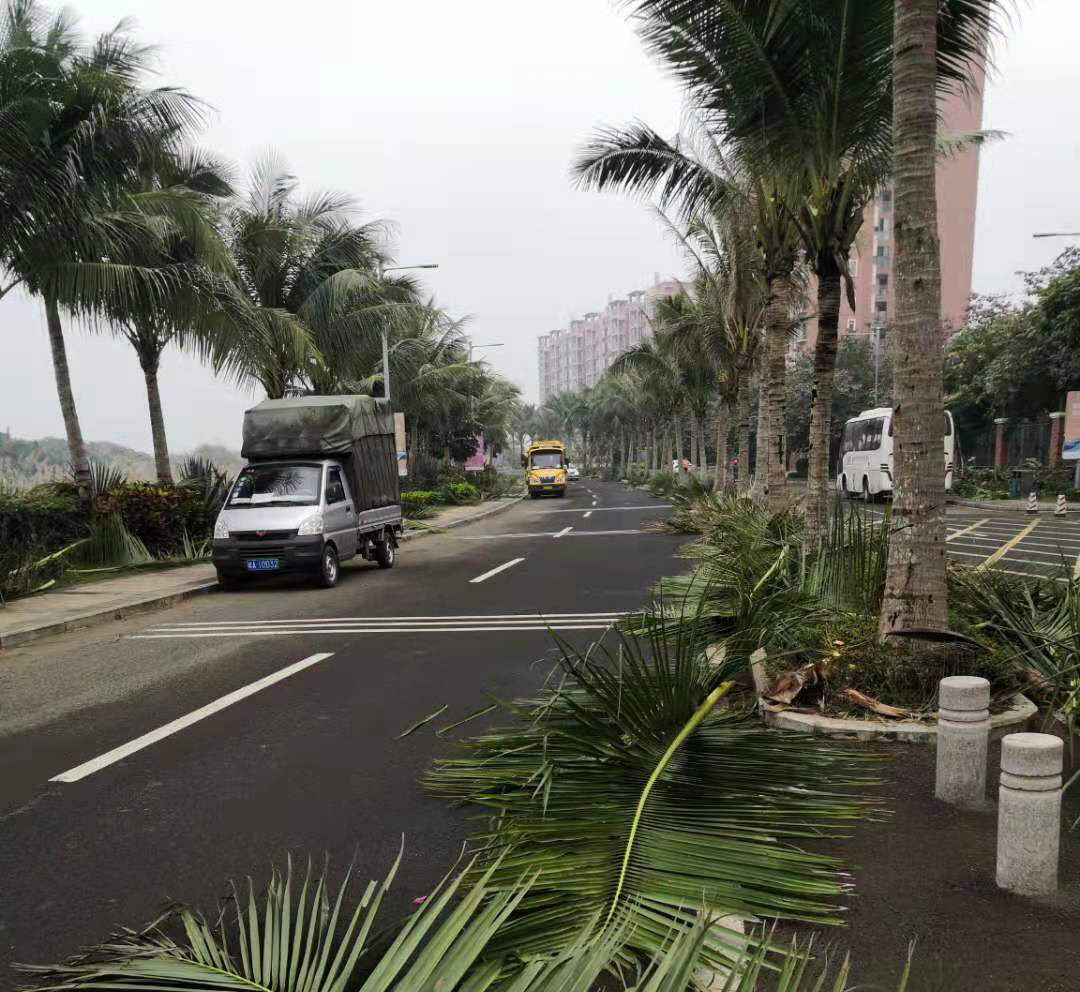 绿化1.jpg