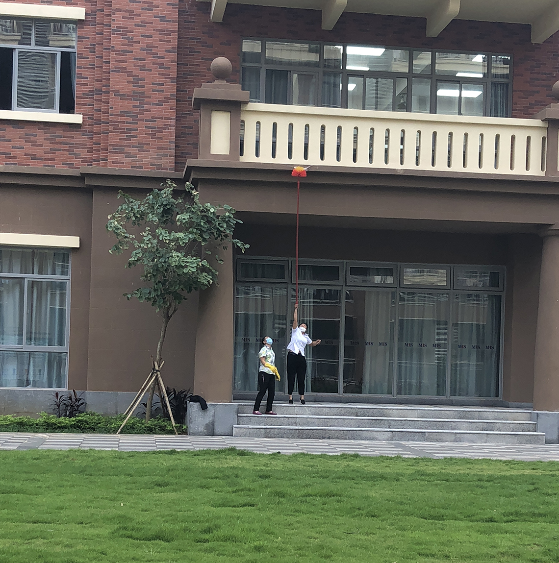 扫羽毛1.jpg
