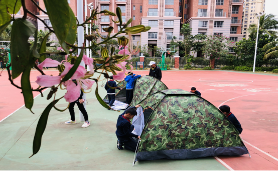 帐篷日475.png